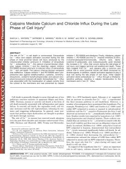 Calpains Mediate Calcium and Chloride Influx During the Late