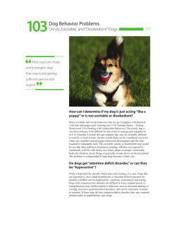 PDF - Keysville Mobile Veterinary Services