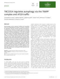 TBC1D14 regulates autophagy via the TRAPP complex and ATG9