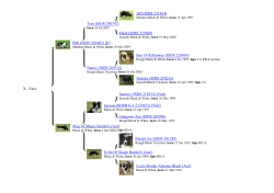 Jaff (ISDS 231424) Tom (ISDS 290747) Flash (ISDS 277989) Bob