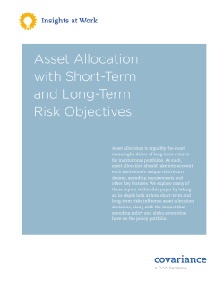 Asset Allocation with Short-Term and Long-Term Risk