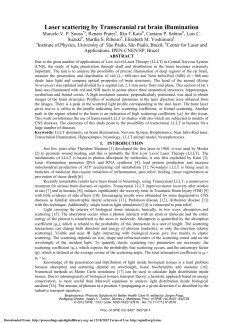 Laser scattering by Transcranial rat brain illumination