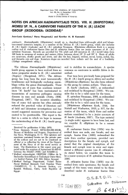 (Rhipistoma) moreli sp. n., a carnivore parasite of the H. (R.) leachi