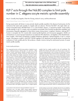 KLP-7 acts through the Ndc80 complex to limit pole number in C