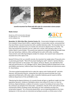 ACR announces collaring of juvenile mountain lion for satellite