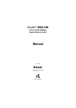 Manual - D-Link