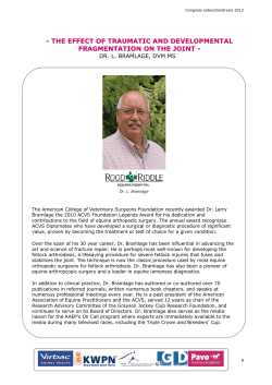 DR. L. BRAMLAGE, DVM MS