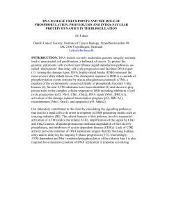 DNA DAMAGE CHECKPOINTS AND THE ROLE OF
