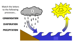 Match the letters to the following processes&hellip; Condensation