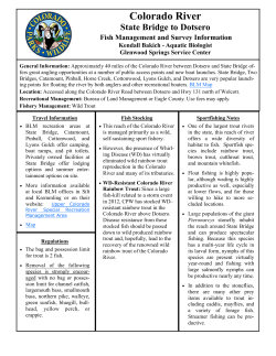 Colorado River - State Bridge to Dotsero