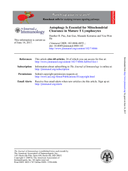 Clearance in Mature T Lymphocytes Autophagy Is Essential for