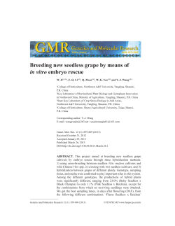 Breeding new seedless grape by means of in vitro