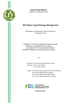 40 K Neon Liquid Energy Storage Unit - RUN