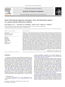 Stone-throwing by Japanese macaques - Jean