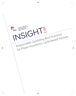 Insight 2013 - Responsible Gambling Practices for Player Incentives