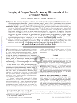 Imaging of Oxygen Transfer Among Microvessels of Rat
