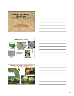 Sample processing - Horticulture Innovation Lab