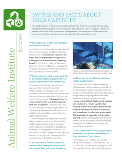 Myths and Facts About Orca Captivity