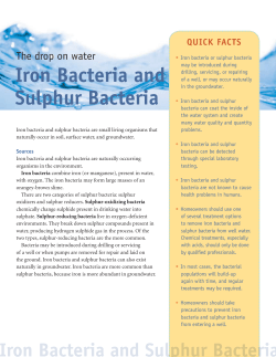 Iron Bacteria and Sulphur Bacteria