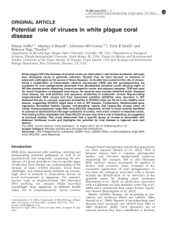 Potential role of viruses in white plague coral disease