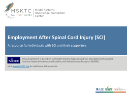 Employment After Spinal Cord Injury (SCI)