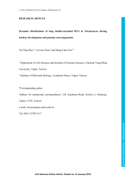 Dynamic distributions of long double