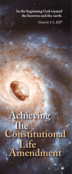 Achieving The Life Amendment