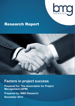 Factors in project success