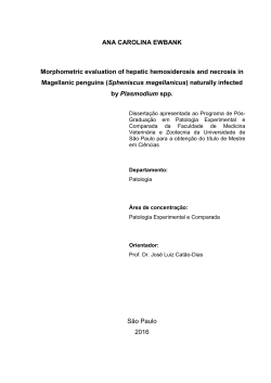 ana carolina ewbank final