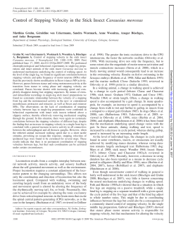 Control of Stepping Velocity in the Stick Insect Carausius morosus