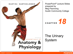 ch_18_lecture_presentation