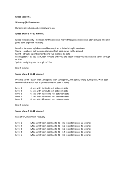 Speed Session 1 Warm-up (8-10 minutes) Dynamic stretching and