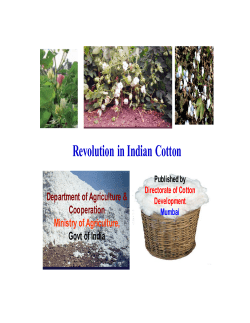 Revolution in Indian Cotton