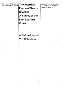 The Intertidal Fauna of Sandy Beaches