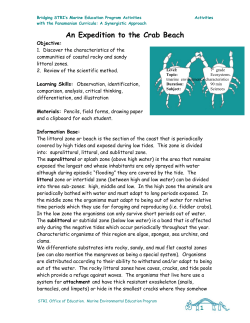 An Expedition to the Crab Beach