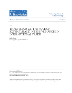 three essays on the role of extensive and intensive