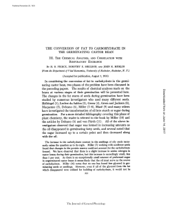 THE CONVERSION OF FAT TO CARBOHYDRATE IN THE