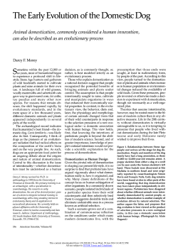 The Early Evolution of the Domestic Dog