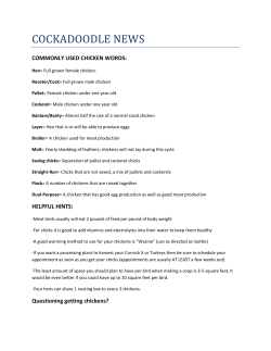 cockadoodle news - Union Mills Feed