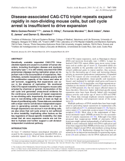 Disease-associated CAG&middot;CTG triplet repeats expand rapidly in non