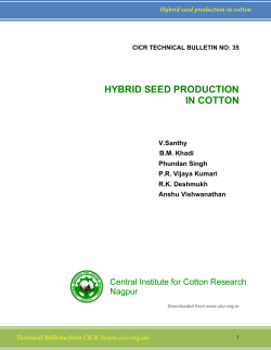 hybrid seed production in cotton - Central Institute for Cotton Research