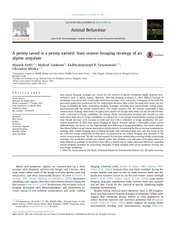 A penny saved is a penny earned: lean season foraging strategy of