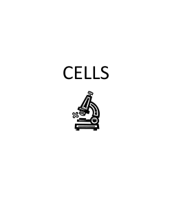 CELLS - Claud E. Kitchens Outdoor School At Fairview