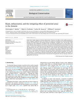 Roads, deforestation, and the mitigating effect of protected areas in