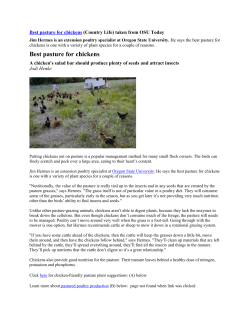 Best pasture for chickens