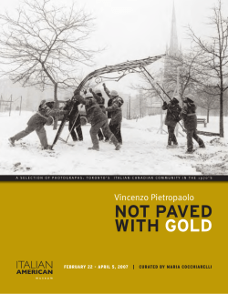 Catalog - Italian American Museum