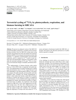 Terrestrial cycling of 13CO2 by photosynthesis