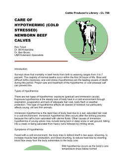 Care of Hypothermic (Cold Stressed) Newborn Beef Calves