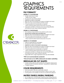 FILE FORMATS* IRREGULAR DIE