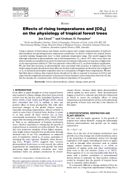 Effects of rising temperatures and [CO2] on the physiology of tropical